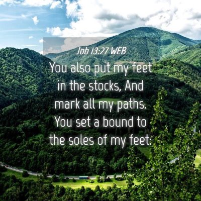 Picture 04 - Job 13:27 WEB - You also put my feet in the stocks, And mark all - Bible Verse Picture