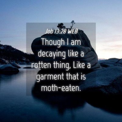 Picture 04 - Job 13:28 WEB - Though I am decaying like a rotten thing, Like a - Bible Verse Picture