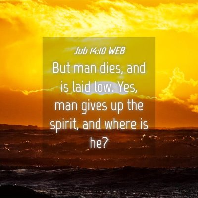 Picture 04 - Job 14:10 WEB - But man dies, and is laid low. Yes, man gives up - Bible Verse Picture