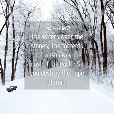 Picture 04 - Job 14:19 WEB - The waters wear the stones; The torrents of it - Bible Verse Picture