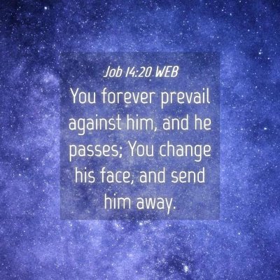 Picture 04 - Job 14:20 WEB - You forever prevail against him, and he passes; - Bible Verse Picture