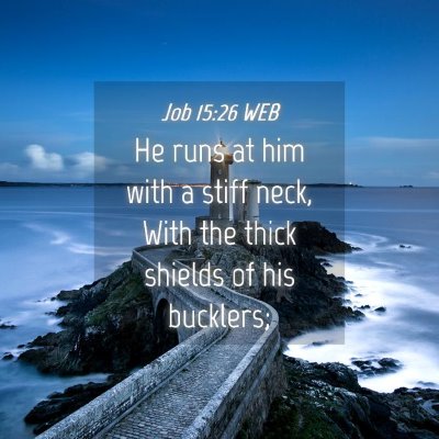 Picture 04 - Job 15:26 WEB - He runs at him with a stiff neck, With the thick - Bible Verse Picture