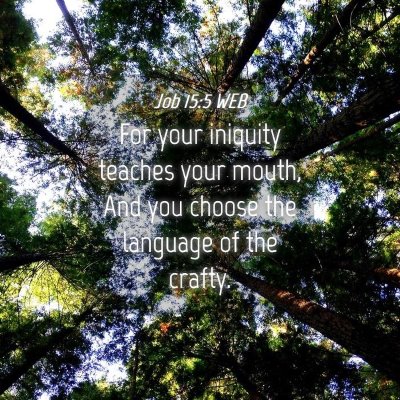 Picture 04 - Job 15:5 WEB - For your iniquity teaches your mouth, And you - Bible Verse Picture