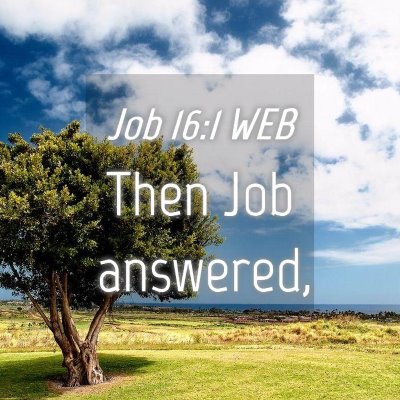 Picture 04 - Job 16:1 WEB - Then Job - Bible Verse Picture