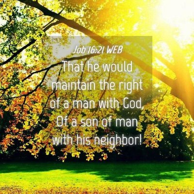 Picture 04 - Job 16:21 WEB - That he would maintain the right of a man with - Bible Verse Picture