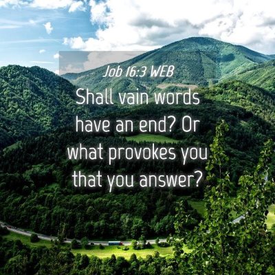 Picture 04 - Job 16:3 WEB - Shall vain words have an end? Or what provokes - Bible Verse Picture