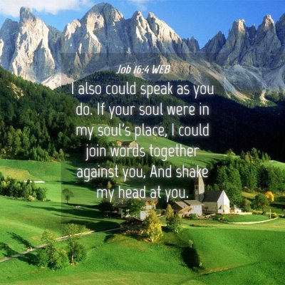 Picture 04 - Job 16:4 WEB - I also could speak as you do. If your soul were - Bible Verse Picture