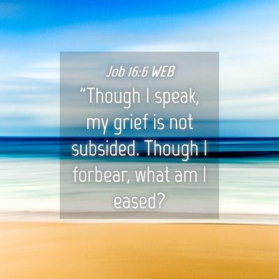 Picture 04 - Job 16:6 WEB - 