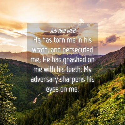 Picture 04 - Job 16:9 WEB - He has torn me in his wrath, and persecuted me; - Bible Verse Picture
