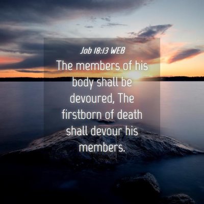 Picture 04 - Job 18:13 WEB - The members of his body shall be devoured, The - Bible Verse Picture