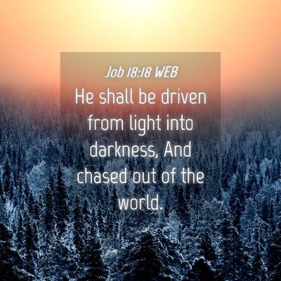 Picture 04 - Job 18:18 WEB - He shall be driven from light into darkness, And - Bible Verse Picture