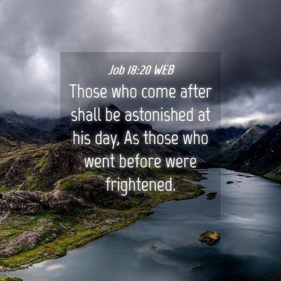 Picture 04 - Job 18:20 WEB - Those who come after shall be astonished at his - Bible Verse Picture