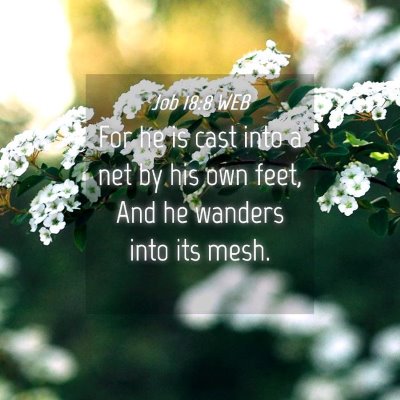 Picture 04 - Job 18:8 WEB - For he is cast into a net by his own feet, And he - Bible Verse Picture