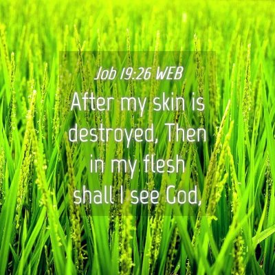 Picture 04 - Job 19:26 WEB - After my skin is destroyed, Then in my flesh - Bible Verse Picture
