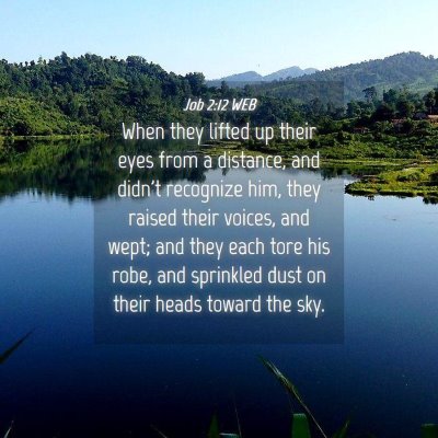 Picture 04 - Job 2:12 WEB - When they lifted up their eyes from a distance, - Bible Verse Picture