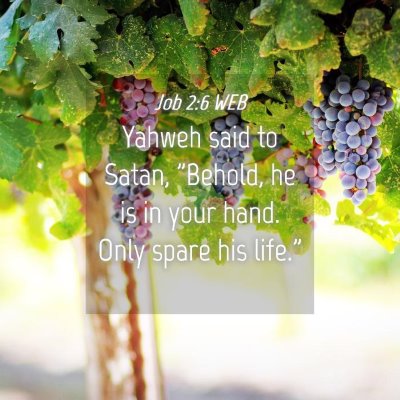 Picture 04 - Job 2:6 WEB - Yahweh said to Satan, 
