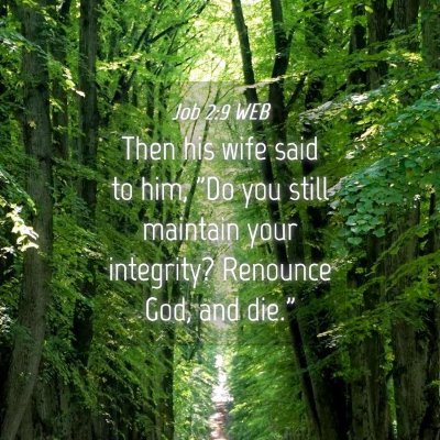 Picture 04 - Job 2:9 WEB - Then his wife said to him, 
