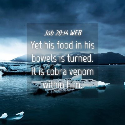 Picture 04 - Job 20:14 WEB - Yet his food in his bowels is turned. It is cobra - Bible Verse Picture