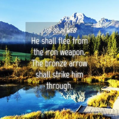 Picture 04 - Job 20:24 WEB - He shall flee from the iron weapon. The bronze - Bible Verse Picture