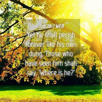 Picture 04 - Job 20:7 WEB - Yet he shall perish forever like his own dung, - Bible Verse Picture