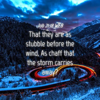 Picture 04 - Job 21:18 WEB - That they are as stubble before the wind, As - Bible Verse Picture