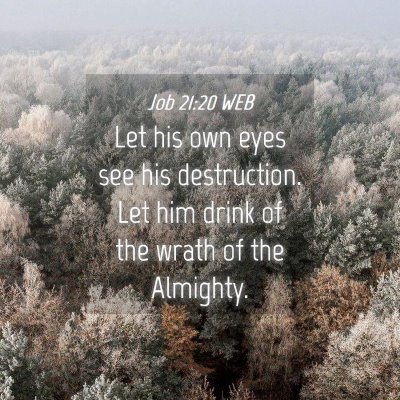 Picture 04 - Job 21:20 WEB - Let his own eyes see his destruction. Let him - Bible Verse Picture