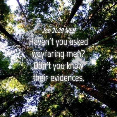 Picture 04 - Job 21:29 WEB - Haven't you asked wayfaring men? Don't you know - Bible Verse Picture
