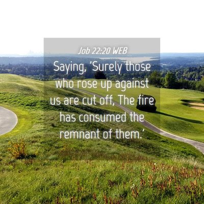 Picture 04 - Job 22:20 WEB - Saying, 'Surely those who rose up against us are - Bible Verse Picture