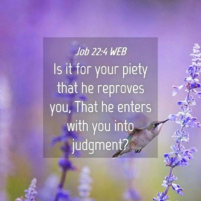 Picture 04 - Job 22:4 WEB - Is it for your piety that he reproves you, That - Bible Verse Picture