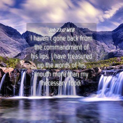 Picture 04 - Job 23:12 WEB - I haven't gone back from the commandment of his - Bible Verse Picture