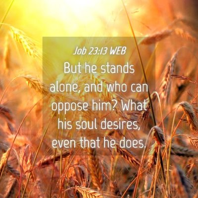 Picture 04 - Job 23:13 WEB - But he stands alone, and who can oppose him? What - Bible Verse Picture