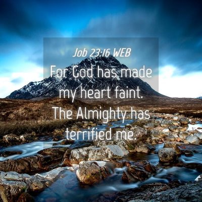 Picture 04 - Job 23:16 WEB - For God has made my heart faint. The Almighty has - Bible Verse Picture
