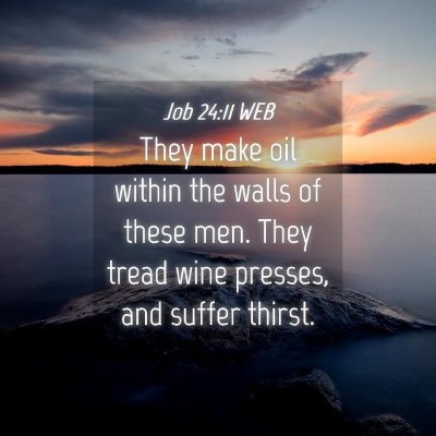 Picture 04 - Job 24:11 WEB - They make oil within the walls of these men. They - Bible Verse Picture