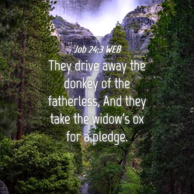Picture 04 - Job 24:3 WEB - They drive away the donkey of the fatherless, And - Bible Verse Picture