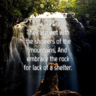 Picture 04 - Job 24:8 WEB - They are wet with the showers of the mountains, - Bible Verse Picture