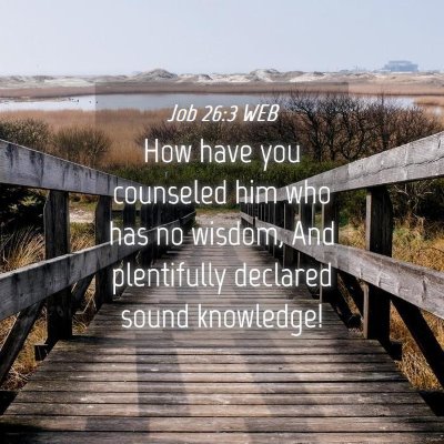 Picture 04 - Job 26:3 WEB - How have you counseled him who has no wisdom, And - Bible Verse Picture