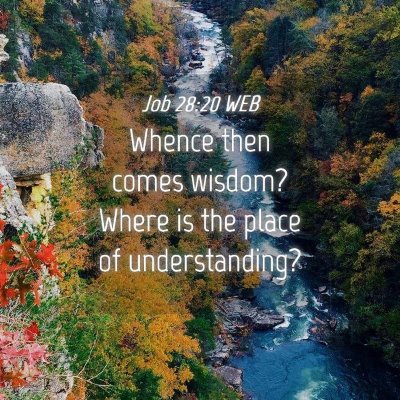Picture 04 - Job 28:20 WEB - Whence then comes wisdom? Where is the place of - Bible Verse Picture