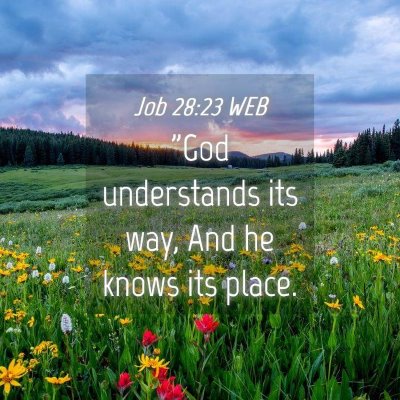Picture 04 - Job 28:23 WEB - 