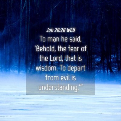 Picture 04 - Job 28:28 WEB - To man he said, 'Behold, the fear of the Lord, - Bible Verse Picture