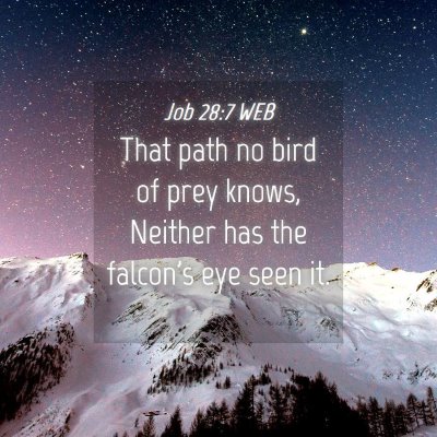 Picture 04 - Job 28:7 WEB - That path no bird of prey knows, Neither has the - Bible Verse Picture