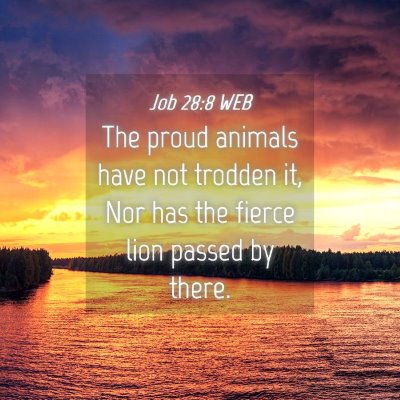 Picture 04 - Job 28:8 WEB - The proud animals have not trodden it, Nor has - Bible Verse Picture