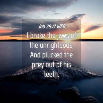 Picture 04 - Job 29:17 WEB - I broke the jaws of the unrighteous, And plucked - Bible Verse Picture
