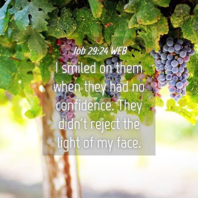 Picture 04 - Job 29:24 WEB - I smiled on them when they had no confidence. - Bible Verse Picture