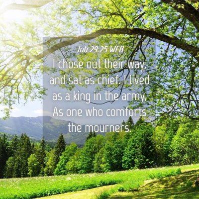Picture 04 - Job 29:25 WEB - I chose out their way, and sat as chief. I lived - Bible Verse Picture