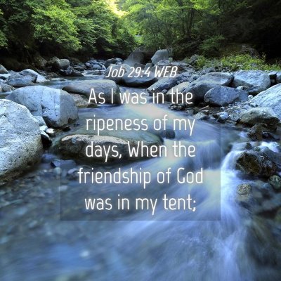 Picture 04 - Job 29:4 WEB - As I was in the ripeness of my days, When the - Bible Verse Picture