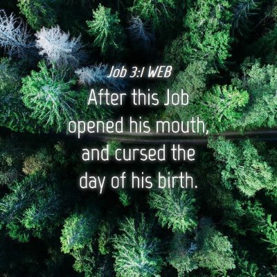 Picture 04 - Job 3:1 WEB - After this Job opened his mouth, and cursed the - Bible Verse Picture