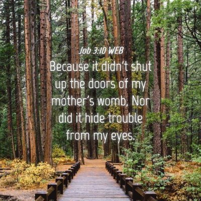 Picture 04 - Job 3:10 WEB - Because it didn't shut up the doors of my - Bible Verse Picture