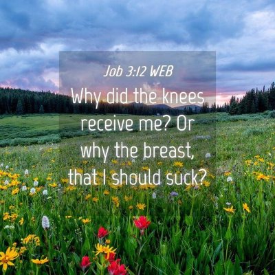 Picture 04 - Job 3:12 WEB - Why did the knees receive me? Or why the breast, - Bible Verse Picture