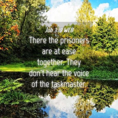 Picture 04 - Job 3:18 WEB - There the prisoners are at ease together. They - Bible Verse Picture