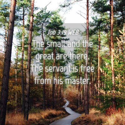 Picture 04 - Job 3:19 WEB - The small and the great are there. The servant is - Bible Verse Picture